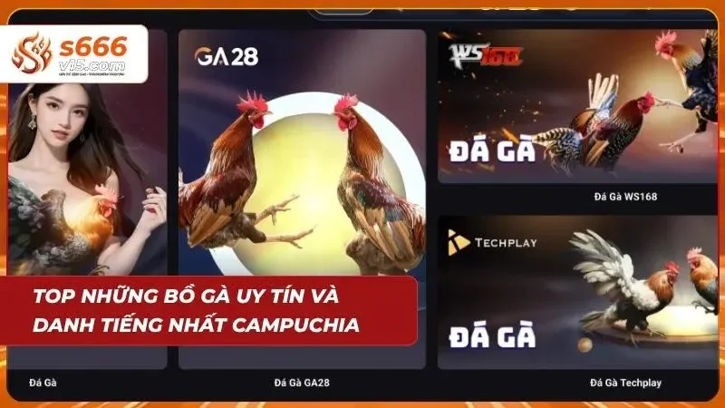 Địa điểm kê chiến tranh tài quy mô lớn nâng tầm trải nghiệm cho cược thủ